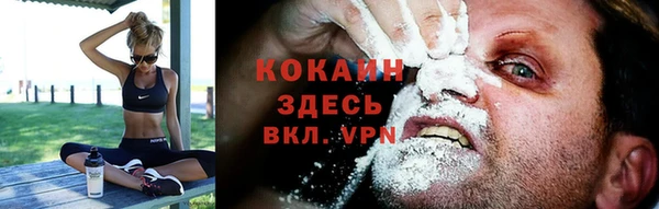spice Беломорск