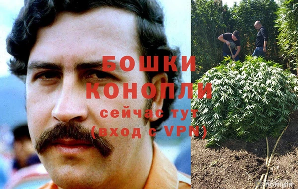 spice Беломорск