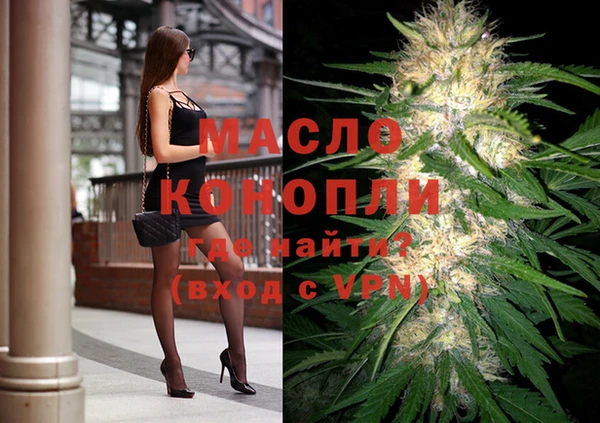 дмт Богданович